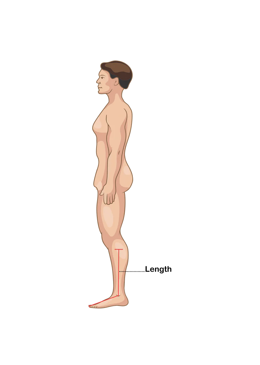 Socks Measuring Guide